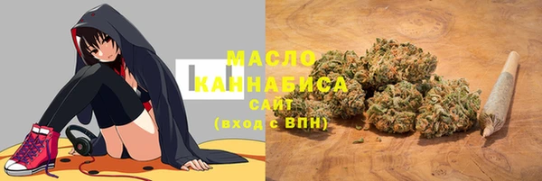 дмт Костерёво