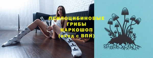 дмт Костерёво