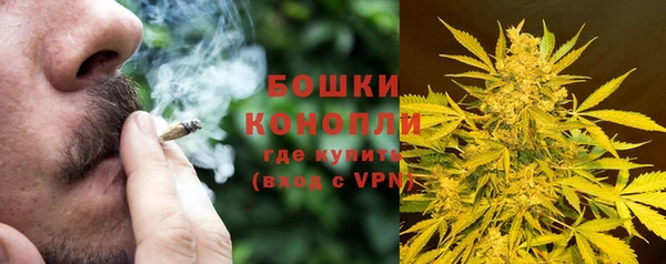 дмт Костерёво