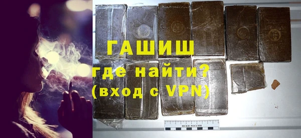 индика Козельск