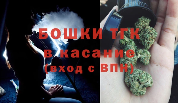 дмт Костерёво