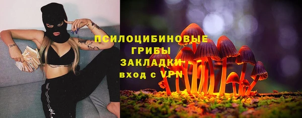 дмт Костерёво
