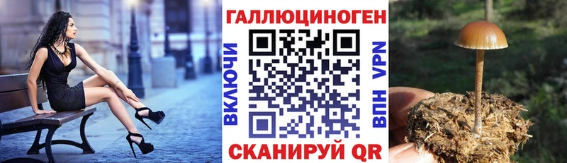 Псилоцибиновые грибы MAGIC MUSHROOMS  Новопавловск 